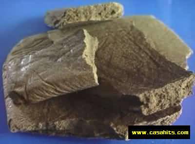 mousiba had lahchich?